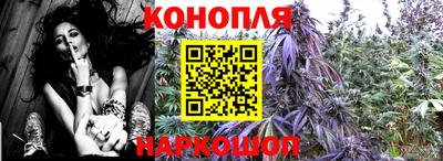 прущие крисы Свободный