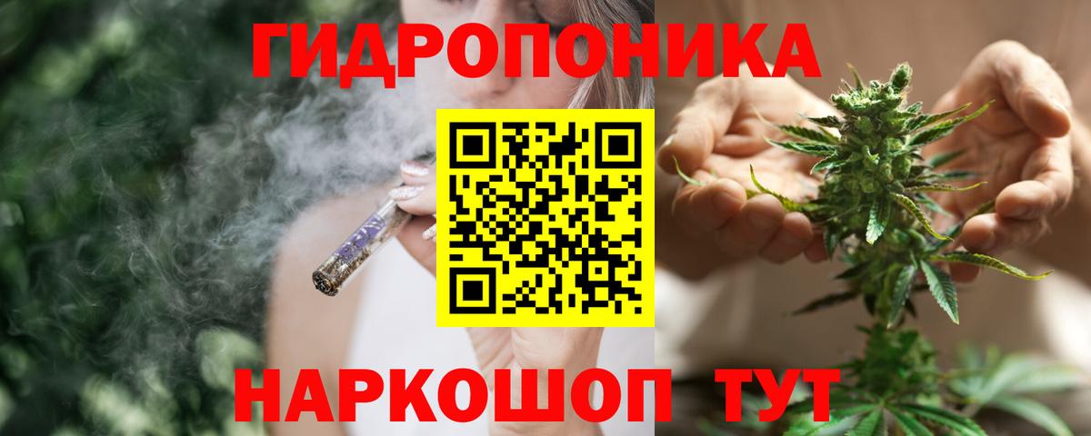 Конопля индика Ялта